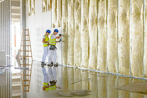Best Residential Insulation in San Castle, FL